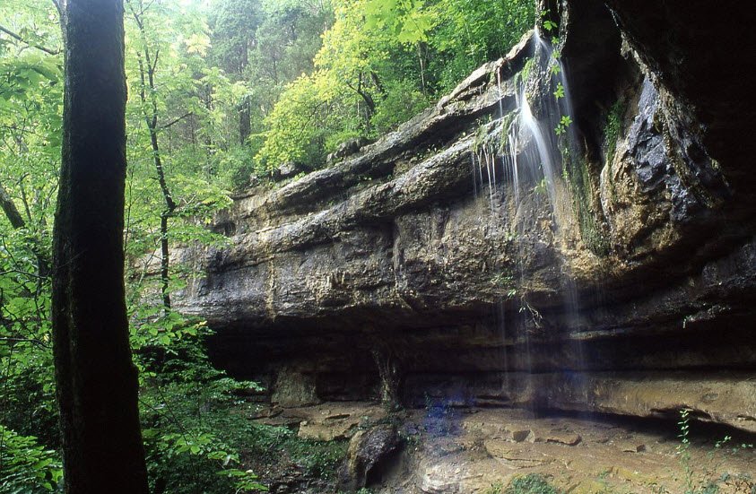 Monte Sano State Park, Alabama, USA